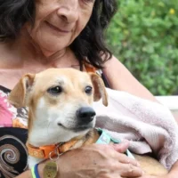 mascotas rescatadas Cali — Mascotas Rescatadas Cali: 70 animales buscan hogar tras devastador terremoto