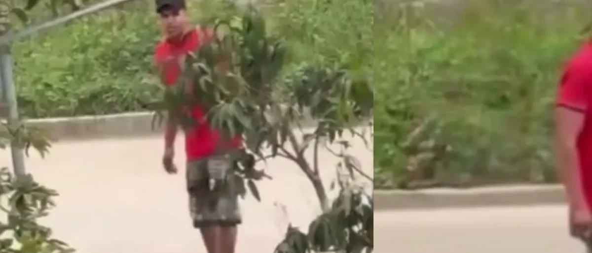 agresión mujer Pitalito — Indignación en Huila por agresión a mujer en Pitalito captada en video