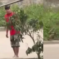 agresión mujer Pitalito — Indignación en Huila por agresión a mujer en Pitalito captada en video