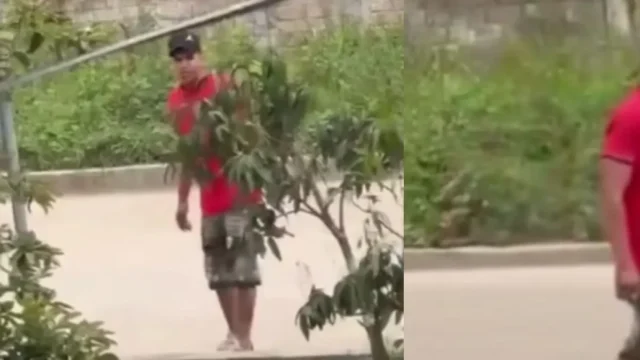 agresión mujer Pitalito — Indignación en Huila por agresión a mujer en Pitalito captada en video