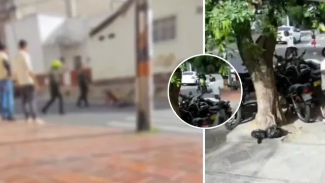 Robo fallido Cúcuta — Robo fallido en Cúcuta: Un presunto ladrón muerto y cómplice en fuga tras enfren