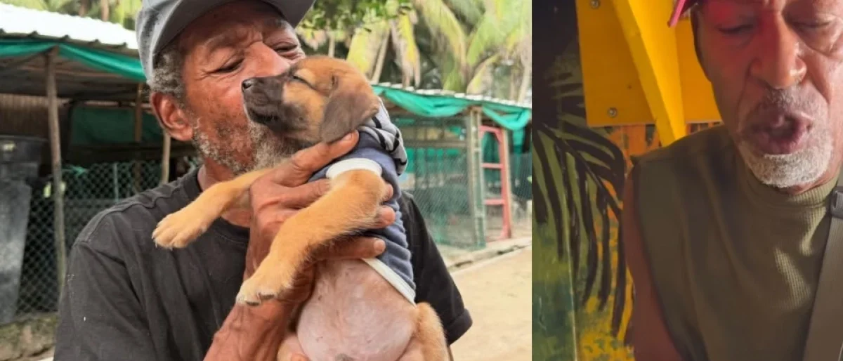 Robo kiosco animales — Robo kiosco animales: Fundación "Kellan" denuncia hurto en San Andrés