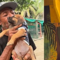 Robo kiosco animales — Robo kiosco animales: Fundación "Kellan" denuncia hurto en San Andrés