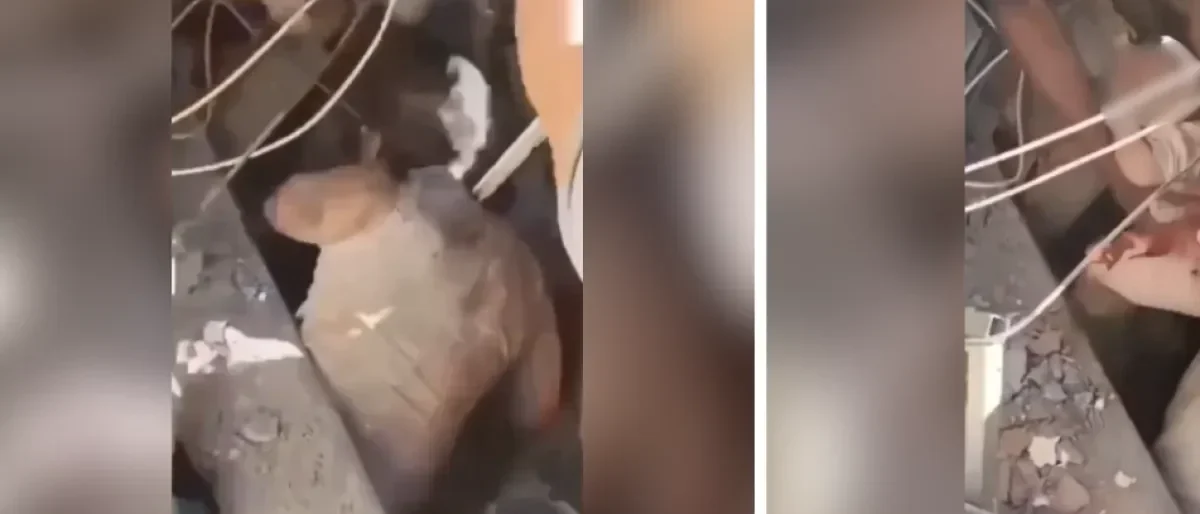 Rescate madre bebé Cali — Rescate madre bebé Cali: Operativo exitoso tras el sismo de 7.4 grados