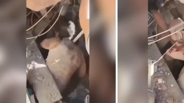 Rescate madre bebé Cali — Rescate madre bebé Cali: Operativo exitoso tras el sismo de 7.4 grados