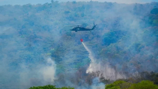 Incendios forestales Cundinamarca — Alerta por Incendios Forestales Cundinamarca: La Vega y Caparrapí Focos de Emerg