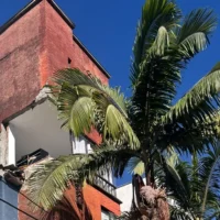 Crisis vivienda Armenia — Crisis vivienda Armenia: miles de damnificados enfrentan alza de precios y escas