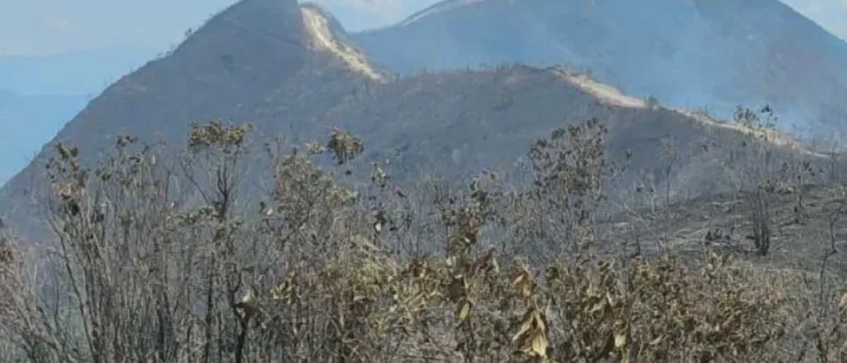 incendios Antioquia 2026 — Incendios Antioquia 2026: Más de 70 Conflagraciones Obligan a Desplegar Operativ