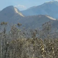 incendios Antioquia 2026 — Incendios Antioquia 2026: Más de 70 Conflagraciones Obligan a Desplegar Operativ