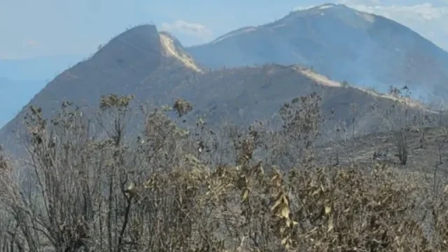 incendios Antioquia 2026 — Incendios Antioquia 2026: Más de 70 Conflagraciones Obligan a Desplegar Operativ