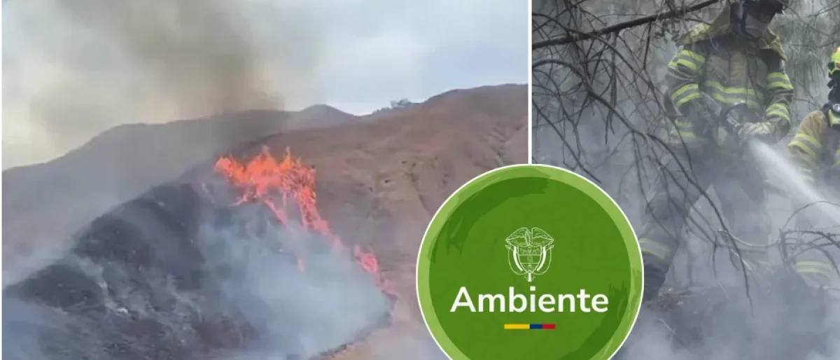 prevención incendios forestales — Colombia: Ministerio de Ambiente Pide Reforzar la Prevención de Incendios Forest