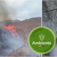 prevención incendios forestales — Colombia: Ministerio de Ambiente Pide Reforzar la Prevención de Incendios Forest