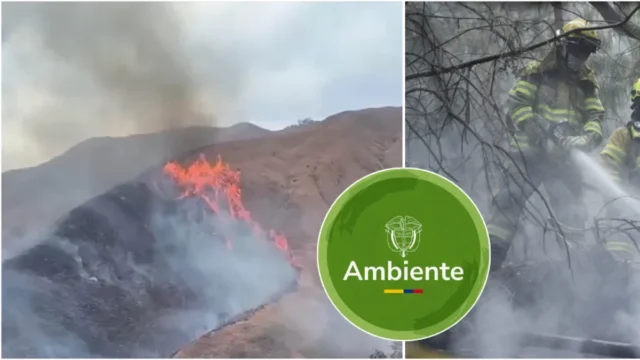 prevención incendios forestales — Colombia: Ministerio de Ambiente Pide Reforzar la Prevención de Incendios Forest