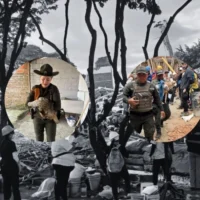 rescate animales sismo — Rescate animales sismo: La labor heroica que devuelve la esperanza en Colombia p