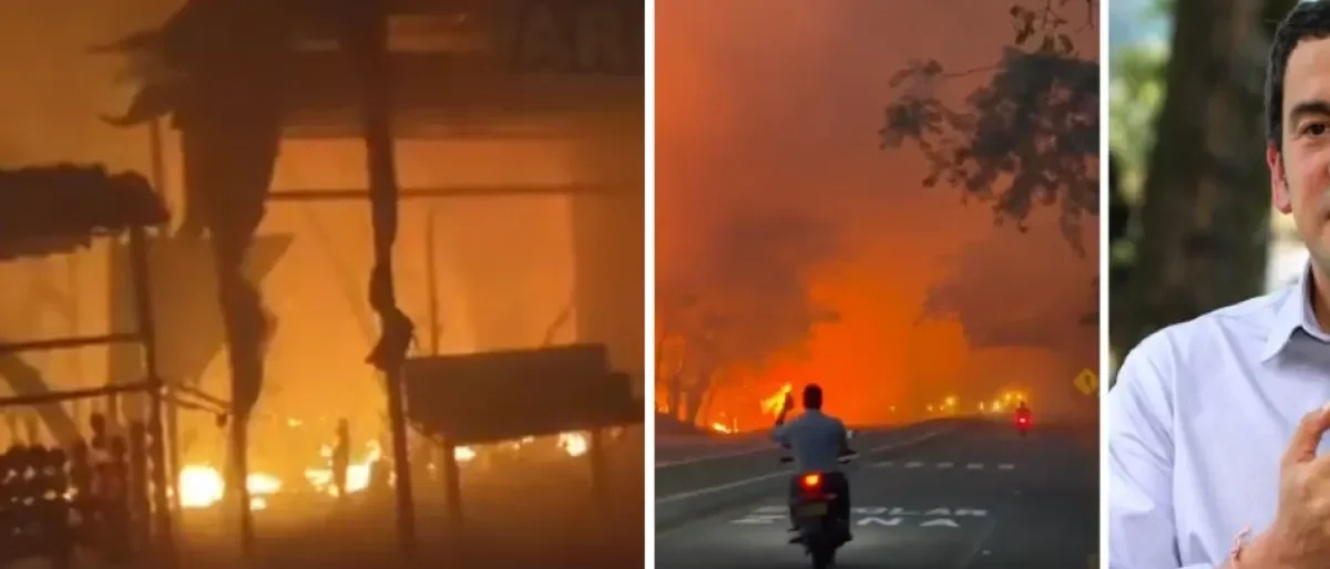 incendio forestal Gualanday — Incendio forestal Gualanday: Amenaza en Tolima y el desafío ambiental de Colombi
