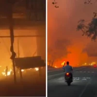incendio forestal Gualanday — Incendio forestal Gualanday: Amenaza en Tolima y el desafío ambiental de Colombi