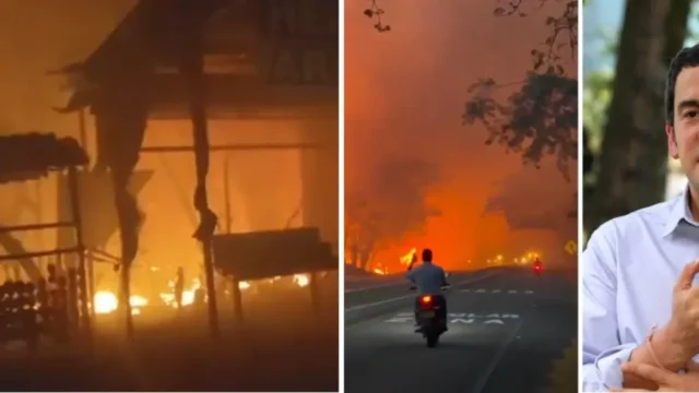 incendio forestal Gualanday — Incendio forestal Gualanday: Amenaza en Tolima y el desafío ambiental de Colombi