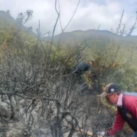 Racionamiento agua Santander — Impacto Crítico del Racionamiento Agua Santander: Sequía e Incendios Aceleran la