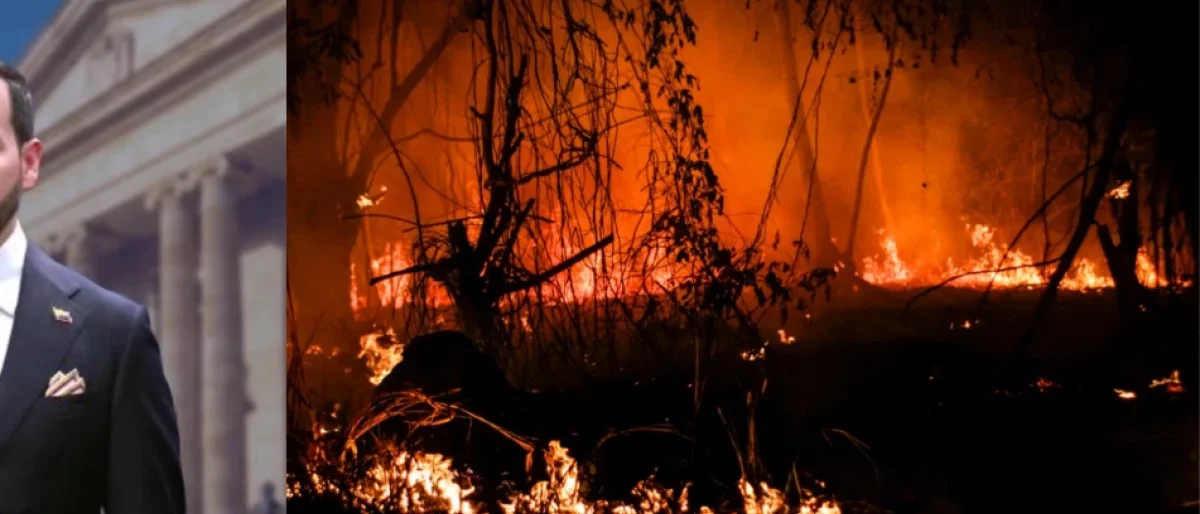 incendio Gualanday controlado — Incendio Gualanday controlado: Gasoducto vital en Tolima se libra de emergencia