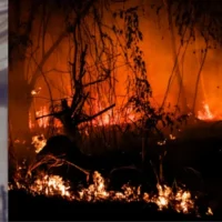 incendio Gualanday controlado — Incendio Gualanday controlado: Gasoducto vital en Tolima se libra de emergencia