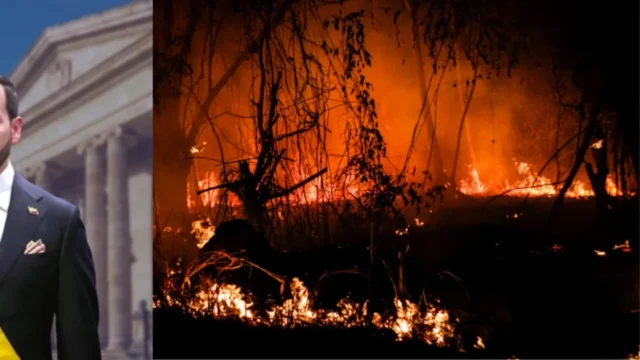 incendio Gualanday controlado — Incendio Gualanday controlado: Gasoducto vital en Tolima se libra de emergencia