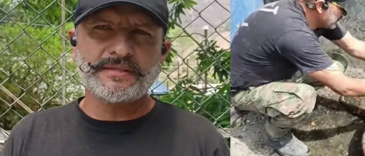 rescate animales incendios Tolima — Rescate de Fauna en Incendios Forestales del Tolima: Un Héroe Ante las Llamas