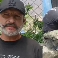 rescate animales incendios Tolima — Rescate de Fauna en Incendios Forestales del Tolima: Un Héroe Ante las Llamas