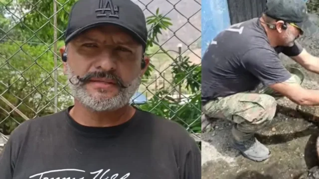 rescate animales incendios Tolima — Rescate de Fauna en Incendios Forestales del Tolima: Un Héroe Ante las Llamas