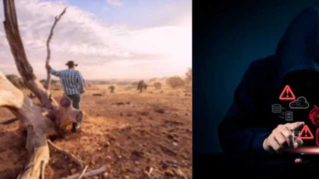 estafa digital Colombia — Campesino del Tolima, víctima de estafa digital tras perderlo todo en incendios