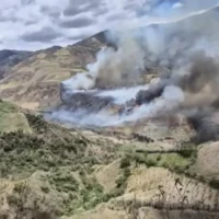 Emergencia forestal Tolima — Emergencia forestal Tolima: La lucha contra las llamas expone desafíos de recurs