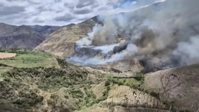 Emergencia forestal Tolima — Emergencia forestal Tolima: La lucha contra las llamas expone desafíos de recurs