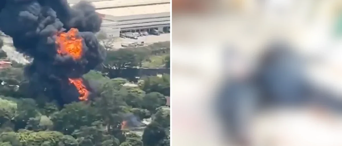 hallazgo perro congelado — Hallazgo perro congelado en Girardota: La perturbadora revelación que sacude al