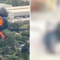 hallazgo perro congelado — Hallazgo perro congelado en Girardota: La perturbadora revelación que sacude al