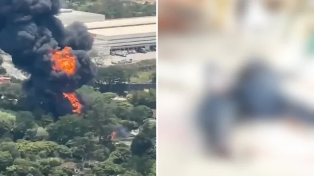 hallazgo perro congelado — Hallazgo perro congelado en Girardota: La perturbadora revelación que sacude al