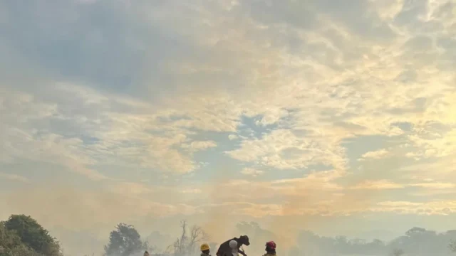 Apoyo Antioquia Tolima — Apoyo Antioquia Tolima: Un despliegue crucial contra incendios forestales