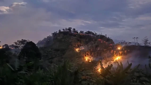 incendios forestales Boyacá — Alarmante aumento de incendios forestales en Boyacá por quemas agrícolas
