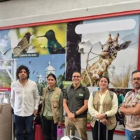 Evaluación edificios Pereira — Expertos de la UIS lideran evaluación de edificios Pereira tras sismo del 10 de