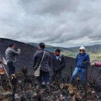 incendio páramo Nariño — Incendio Páramo Nariño: 60 Hectáreas Convertidas en Cenizas y la Amenaza al Agua