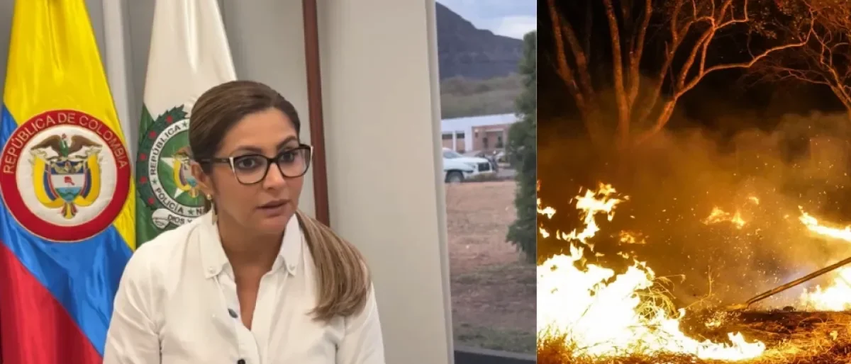 amenazas brigadistas Tolima — Amenazas a brigadistas del Ejército en Tolima evidencian crimen organizado detrá