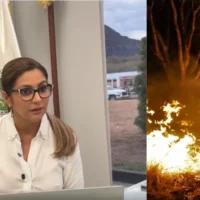 amenazas brigadistas Tolima — Amenazas a brigadistas del Ejército en Tolima evidencian crimen organizado detrá