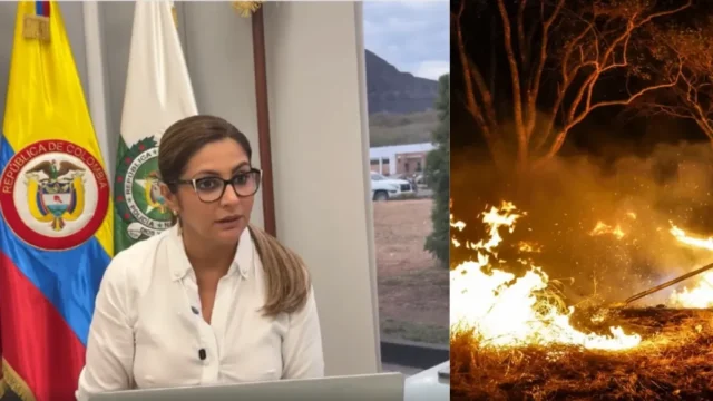 amenazas brigadistas Tolima — Amenazas a brigadistas del Ejército en Tolima evidencian crimen organizado detrá