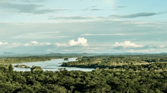 Fenómeno El Niño Colombia — Fenómeno El Niño Colombia: se consolida con alta probabilidad y exige adaptación