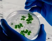 Doctorado Biociencias UCM — Doctorado Biociencias UCM impulsa la investigación en Colombia