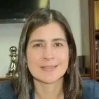 Carolina Soto Cámara Infraestructura — Carolina Soto Cámara Infraestructura: Declina presidencia por oposición del Gobi
