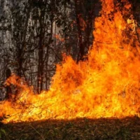 Refuerzo Ejército Tolima — Refuerzo Ejército Tolima: Estrategia vital contra los incendios forestales