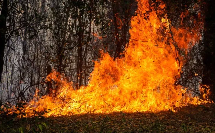 Refuerzo Ejército Tolima — Refuerzo Ejército Tolima: Estrategia vital contra los incendios forestales