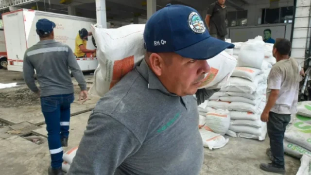 Silo Cundinamarca ganado — Cundinamarca Fortalece la Alimentación Ganadera con 3.100 Toneladas de Silo Anti