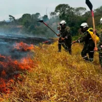 Incendios activos Colombia — Diez Incendios Activos en Colombia: Tolima en Alerta Máxima por el Fenómeno El N