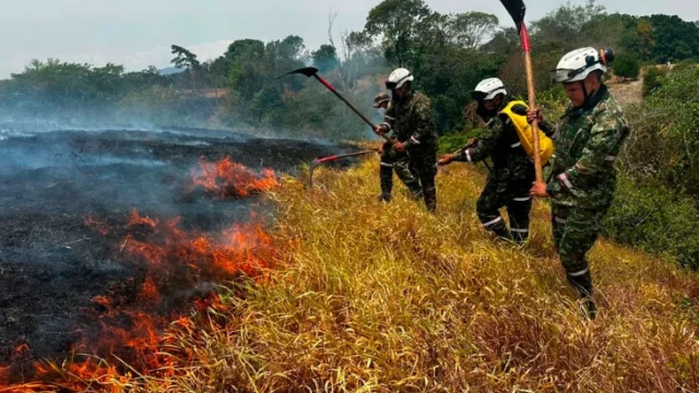 Incendios activos Colombia — Diez Incendios Activos en Colombia: Tolima en Alerta Máxima por el Fenómeno El N