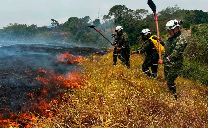 Incendios activos Colombia — Diez Incendios Activos en Colombia: Tolima en Alerta Máxima por el Fenómeno El N